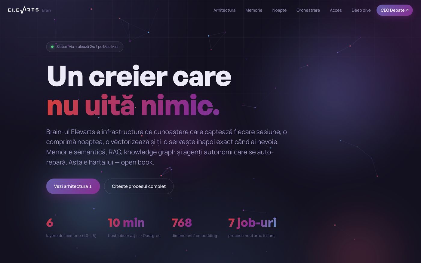 Elevarts Brain — cum arată pe desktop