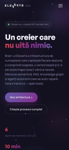 Elevarts Brain — cum arată pe telefon